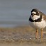 thumbs/IMG_2355.jpg